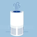 Can an Air Purifier Help Reduce Allergens and Pollutants in the Home?
